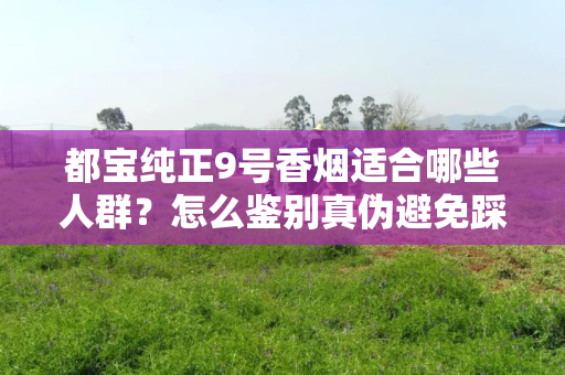 都宝纯正9号香烟适合哪些人群？怎么鉴别真伪避免踩坑？